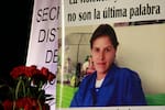 Por el feminicidio de Rosa Elvira Cely condenan a la Fiscalía y varias entidades más