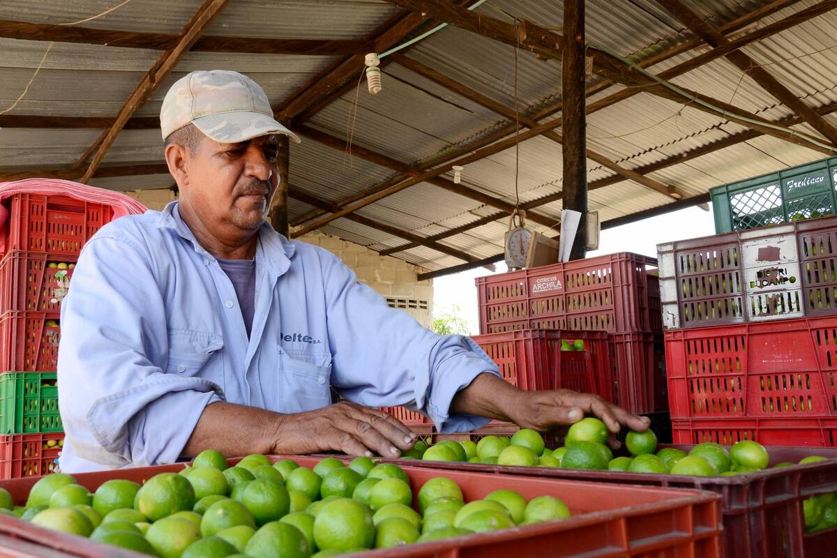 Archivo / VANGUARDIA