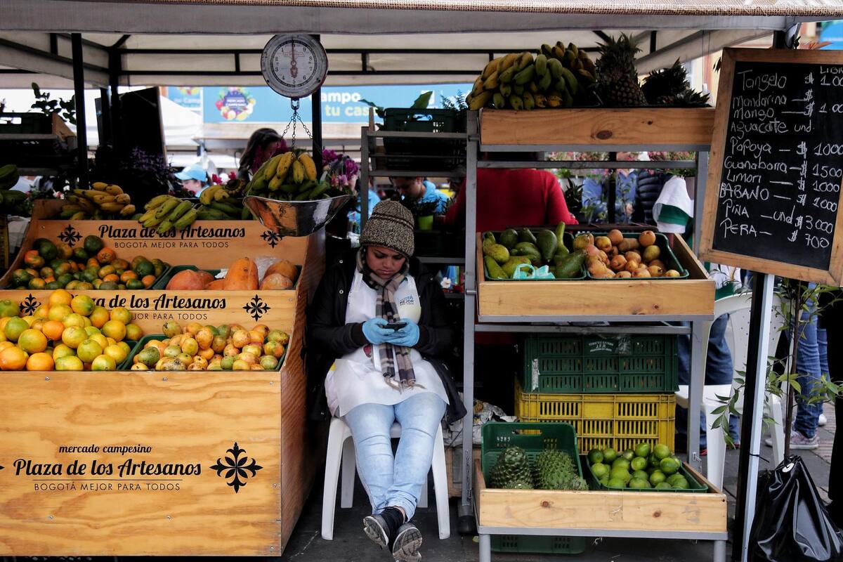 El Incentivo al Seguro Agropecuario es una herramienta de protección ante riesgos climáticos a los que está expuesta la actividad agropecuaria. (Foto: Colprensa /VANGUARDIA) Diego Pineda / Colprensa