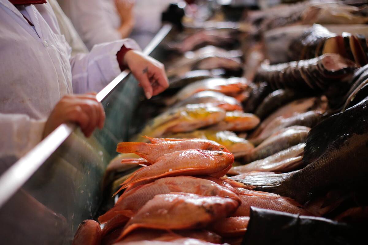 Colprensa/VANGUARDIA. Álvaro Tavera / Álvaro Tavera