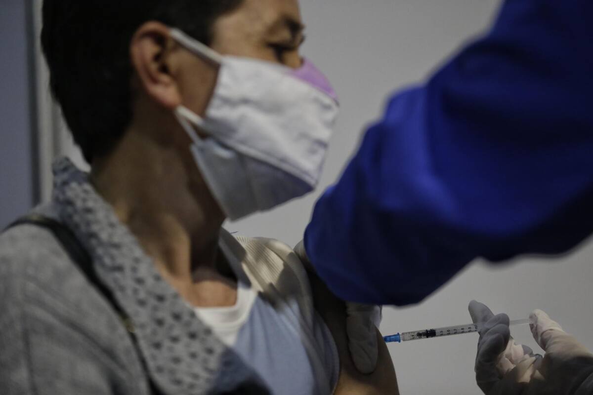 El ministro de Salud, Fernando Ruíz, anunció en redes sociales que a partir de las 3:00 a.m. del viernes se repartirán las 332.640 dosis de la vacuna contra el COVID-19. (FOTO/Colprensa)