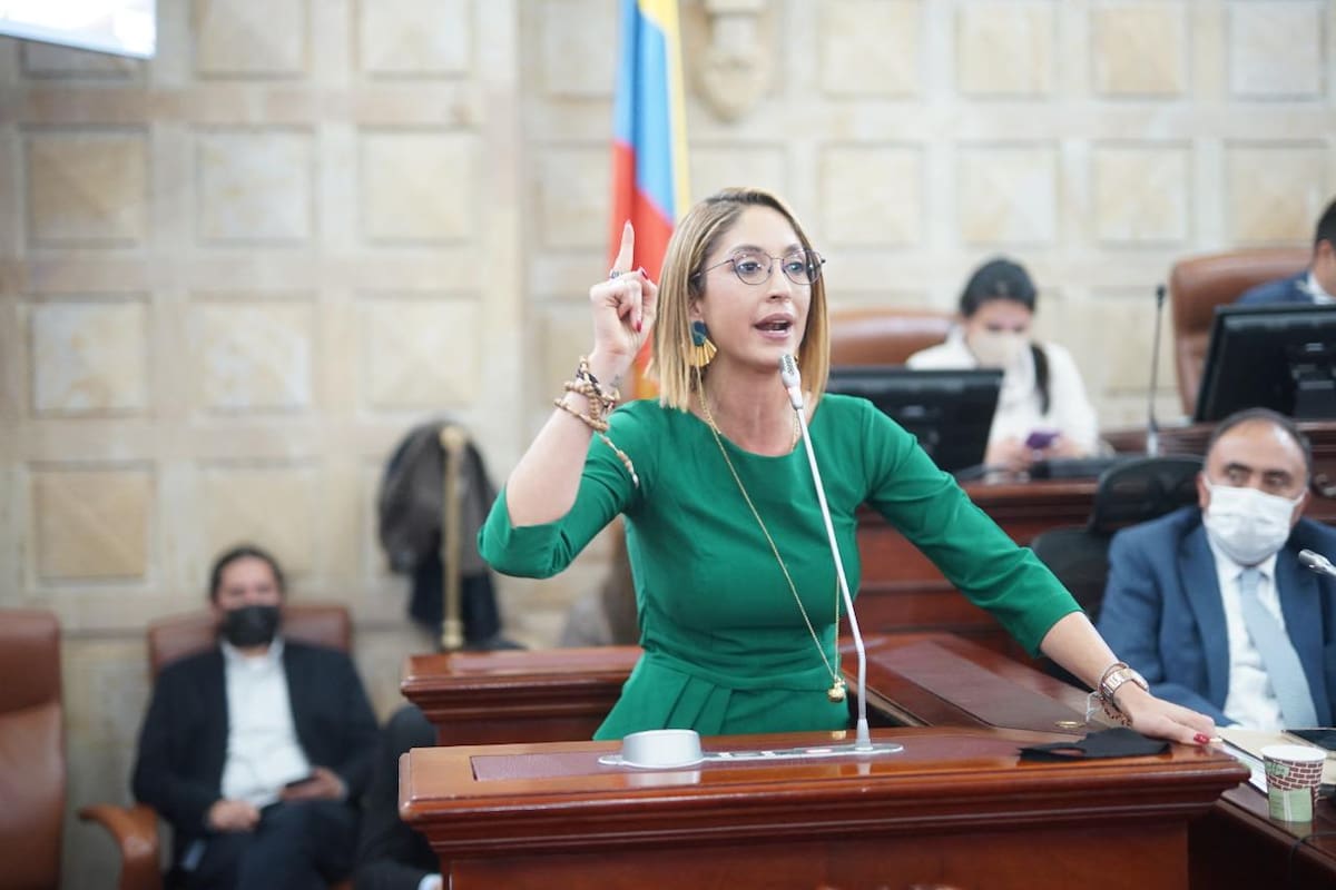 BOGOTÁ. En la plenaria de la Cámara, la presidente de la corporación se defendió de la solicitud de renuncia a su cargo que pidió la oposición(Colprensa-externo). Argemiro Piñeros / externo