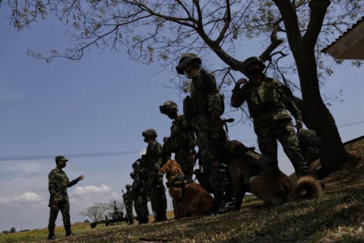 Foto de referencia Colprensa / VANGUARDIA