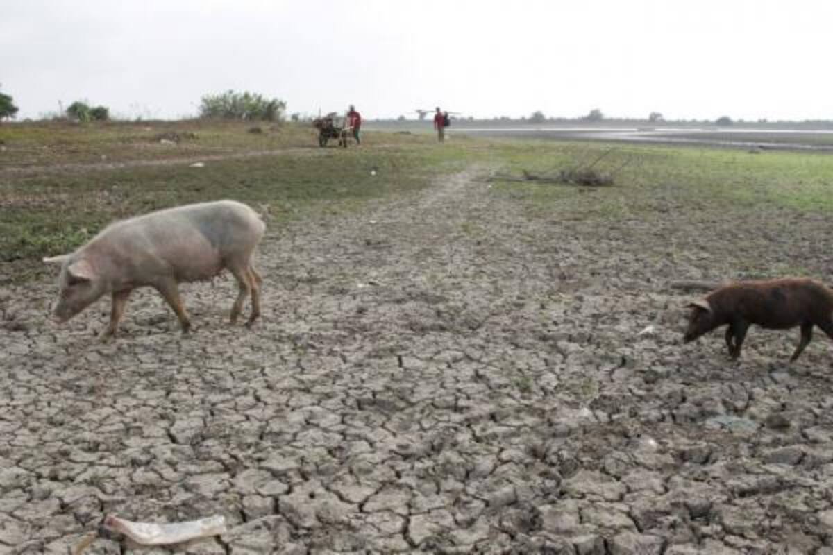En el departamento de Sucre continúan activados los planes de contingencia para contrarrestar los efectos del fenómeno del Niño. (Foto: El Universal /Vanguardia).