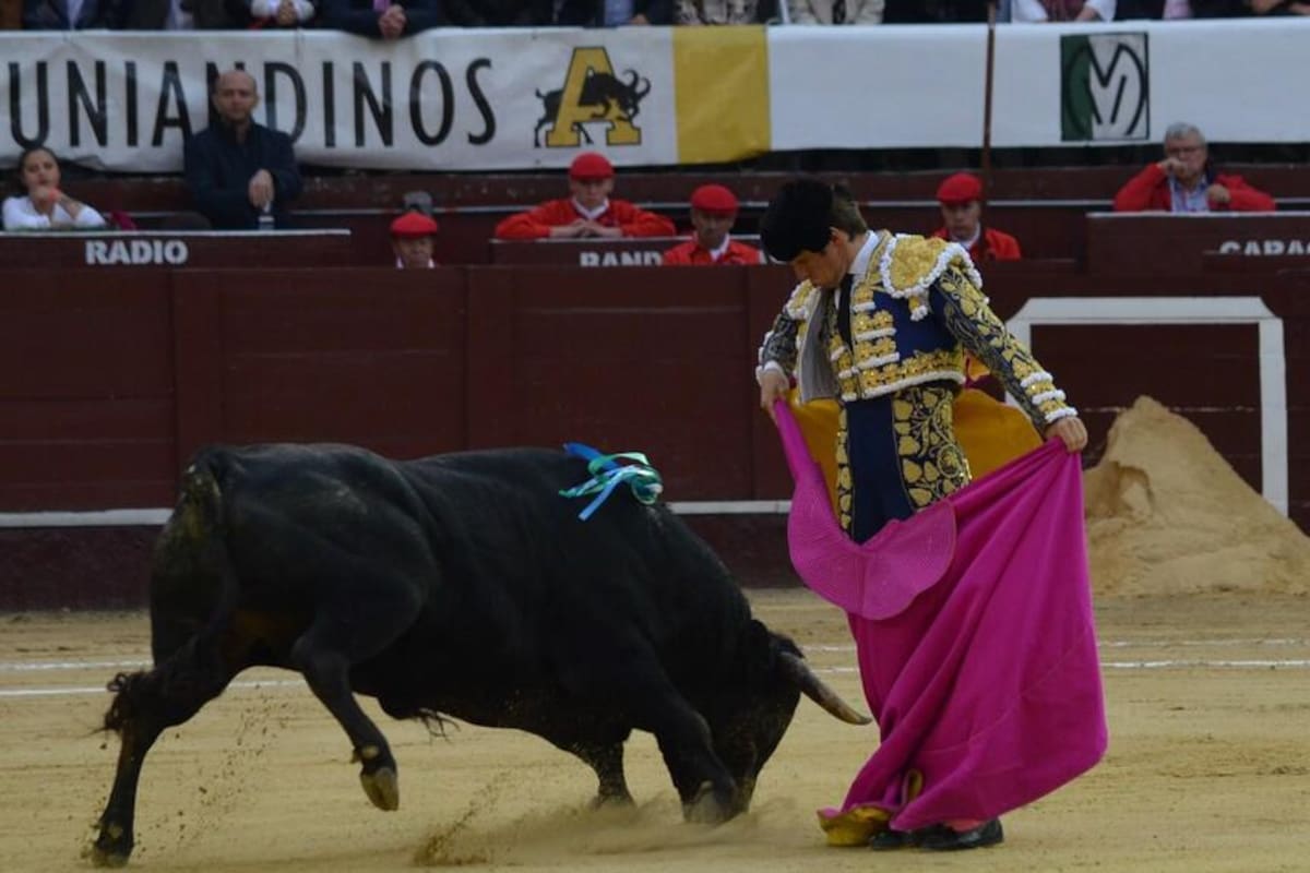 Prohibición de corridas de toros en Colombia está a un debate de aprobación. Foto: Colprensa / VANGUARDIA