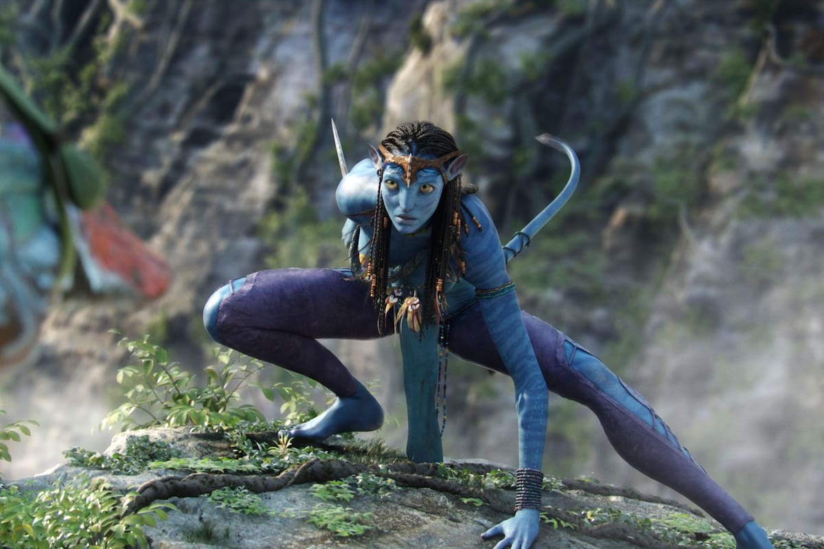 Colprensa / VANGUARDIA