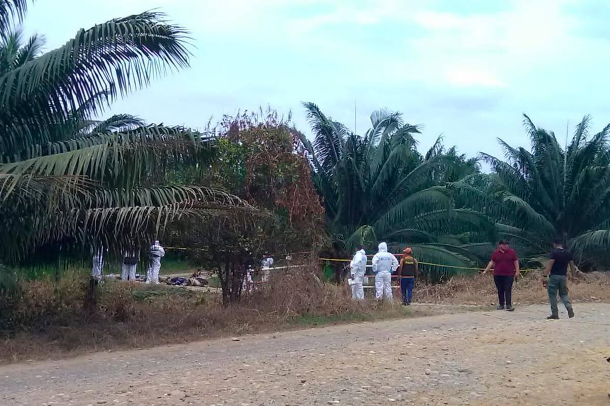 Colprensa / VANGUARDIA