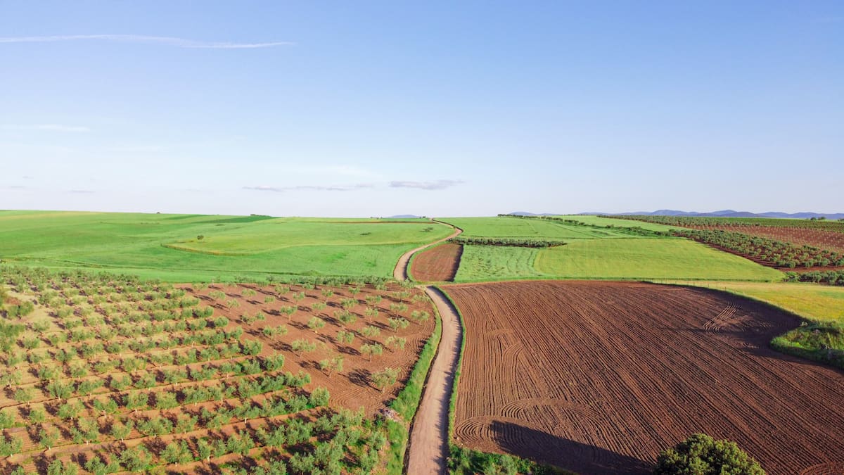 La agricultura enfrenta un desafío que va más allá de producir alimentos: encontrar la manera de aprovechar la tierra sin agotarla. La rotación de cultivos, las coberturas vegetales y el cuidado del suelo hacen parte de una respuesta que pone en el centro los ciclos de la naturaleza.