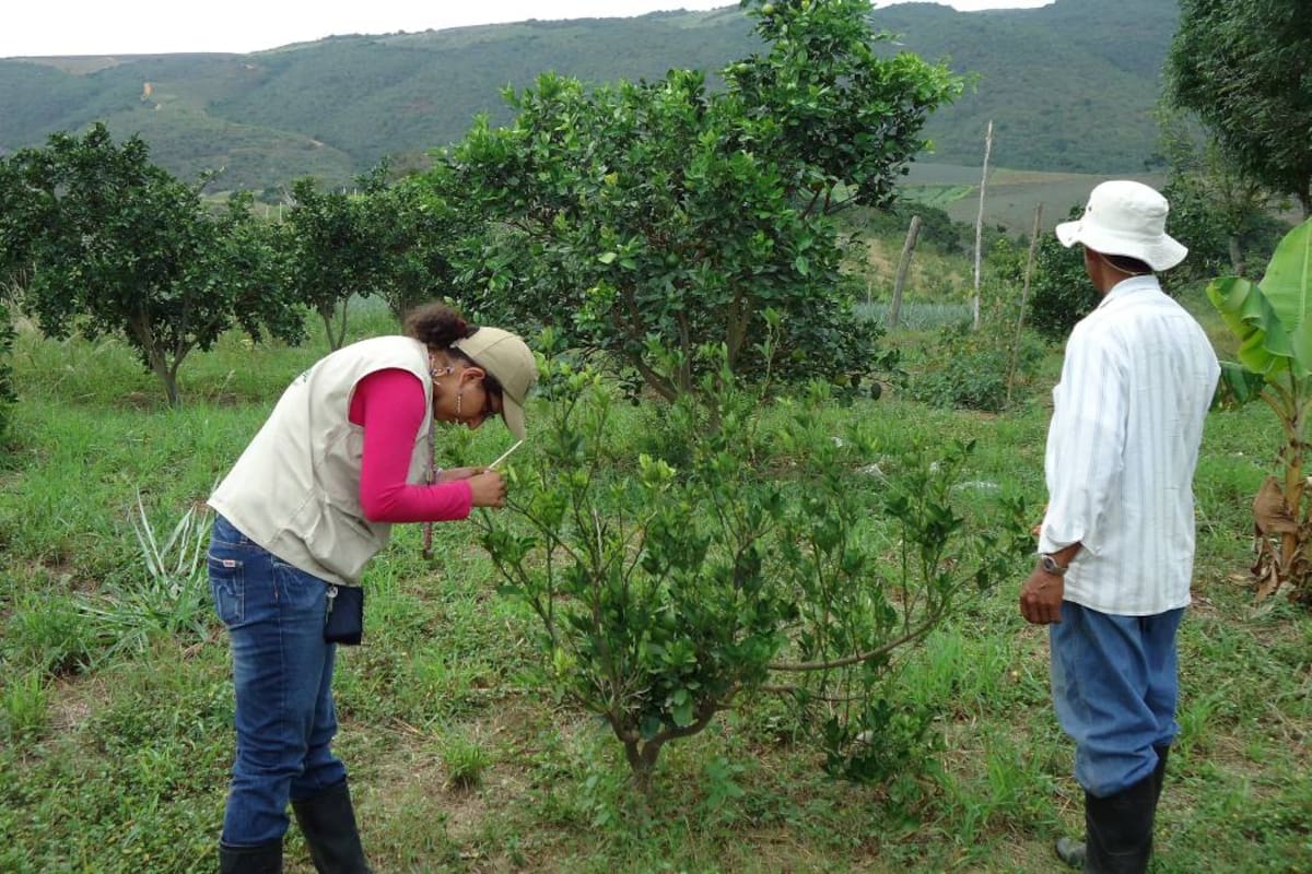 Las inscripciones no tendrán ningún costo. En 2013, la temática que se trabajó fue ‘Agua, recurso vital’. (Foto: Archivo/VANGUARDIA LIBERAL)