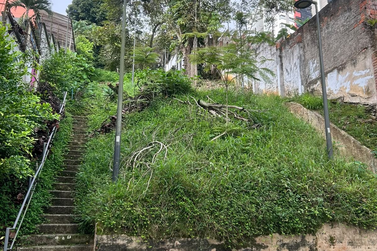 La cantidad de maleza ya cubre prácticamente todas las escaleras de este sendero peatonal, en donde también existen residuos de poda y jardinería. (Fotos: suministradas / VANGUARDIA)