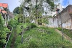 Con maleza y sin alumbrado: en Bucaramanga reportan mal estado de sendero peatonal