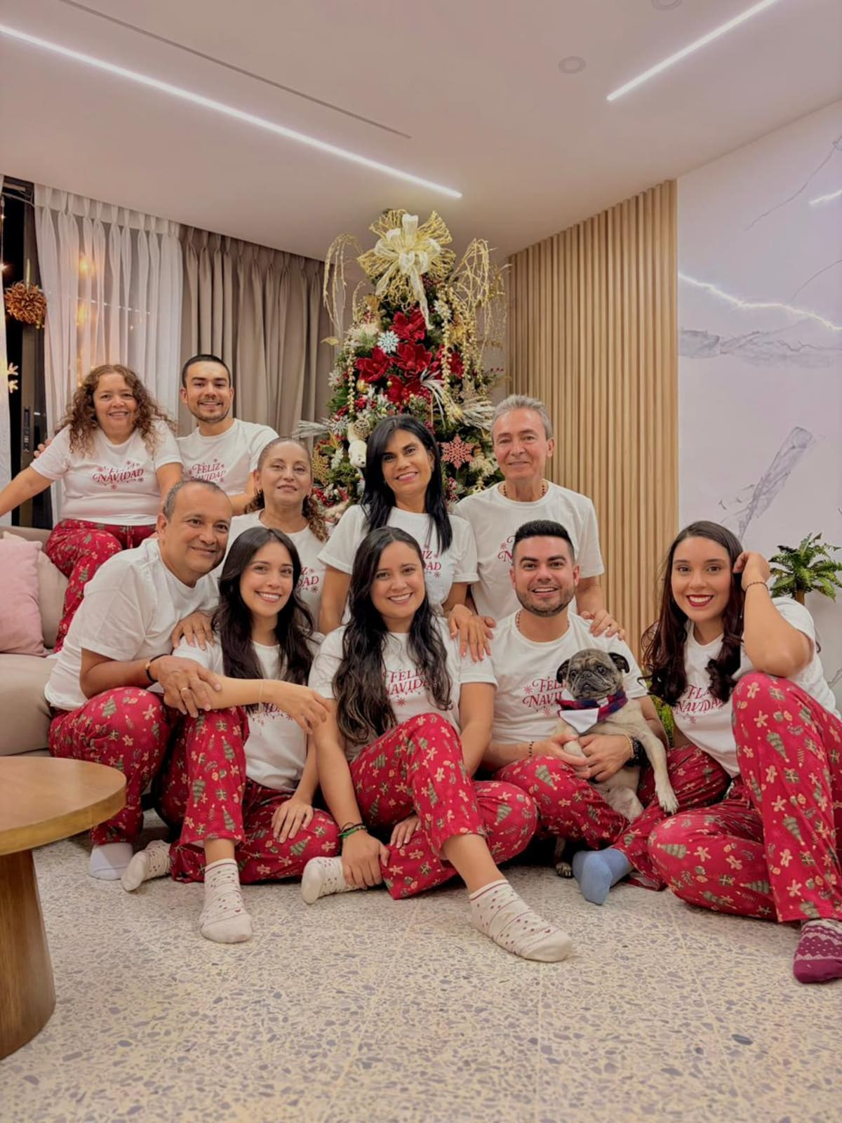 La familia multiespecie reconoce a perros y gatos como parte del núcleo familiar, no solo por vínculos legales o consanguíneos, sino por lazos afectivos. En Colombia, este modelo amplía la idea tradicional de familia y asume un deber de solidaridad y protección hacia los animales que conviven en el hogar. / Suministrada