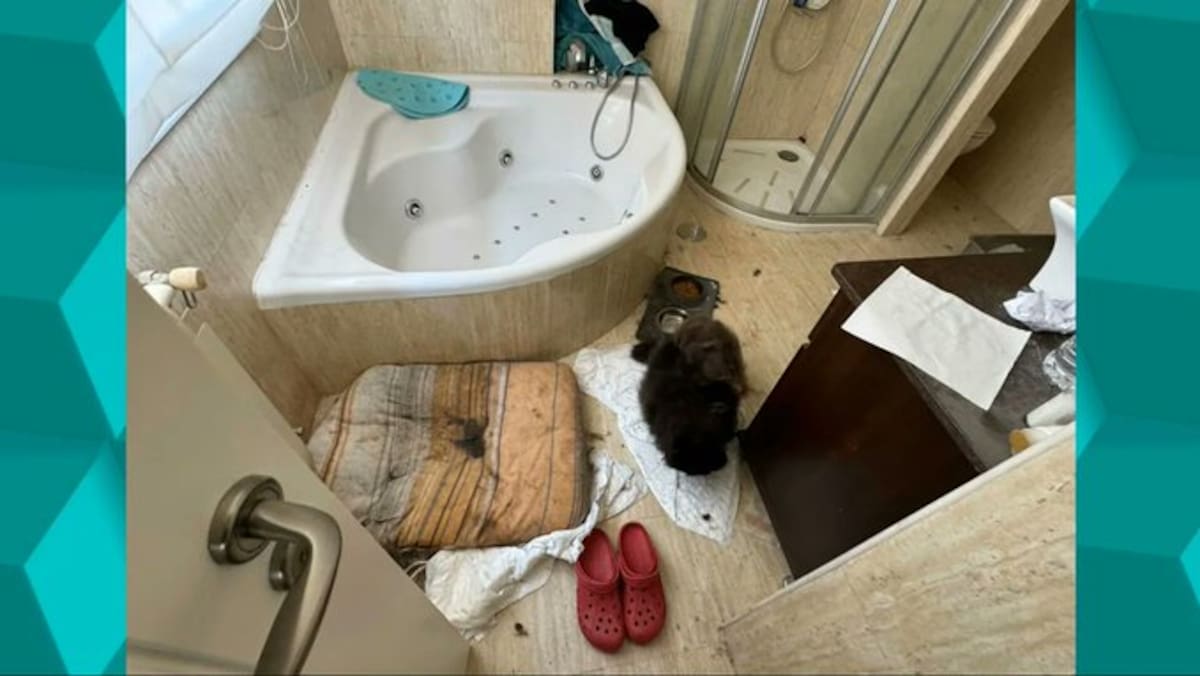 Los padres de la 'casa de los horrores' de la ciudad de Oviedo, condenados a dos años y 10 meses de cárcel.