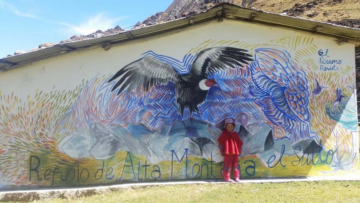 El páramo del Almorzadero en Santander alberga la mayor cantidad de cóndores en Colombia.
