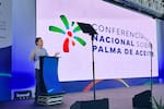 Biocombustible para aviones con aceite de palma: los pasos que aún faltan para que sea una realidad