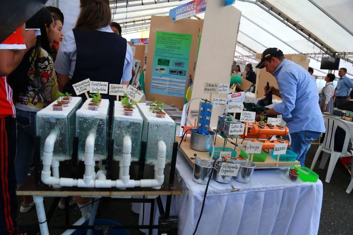 Esta idea autosostenible de innovación tecnológica y agrícola le mereció un cupo para el Encuentro Nacional de semilleros de investigación Ondas. (Foto: Suministrada / VANGUARDIA LIBERAL)