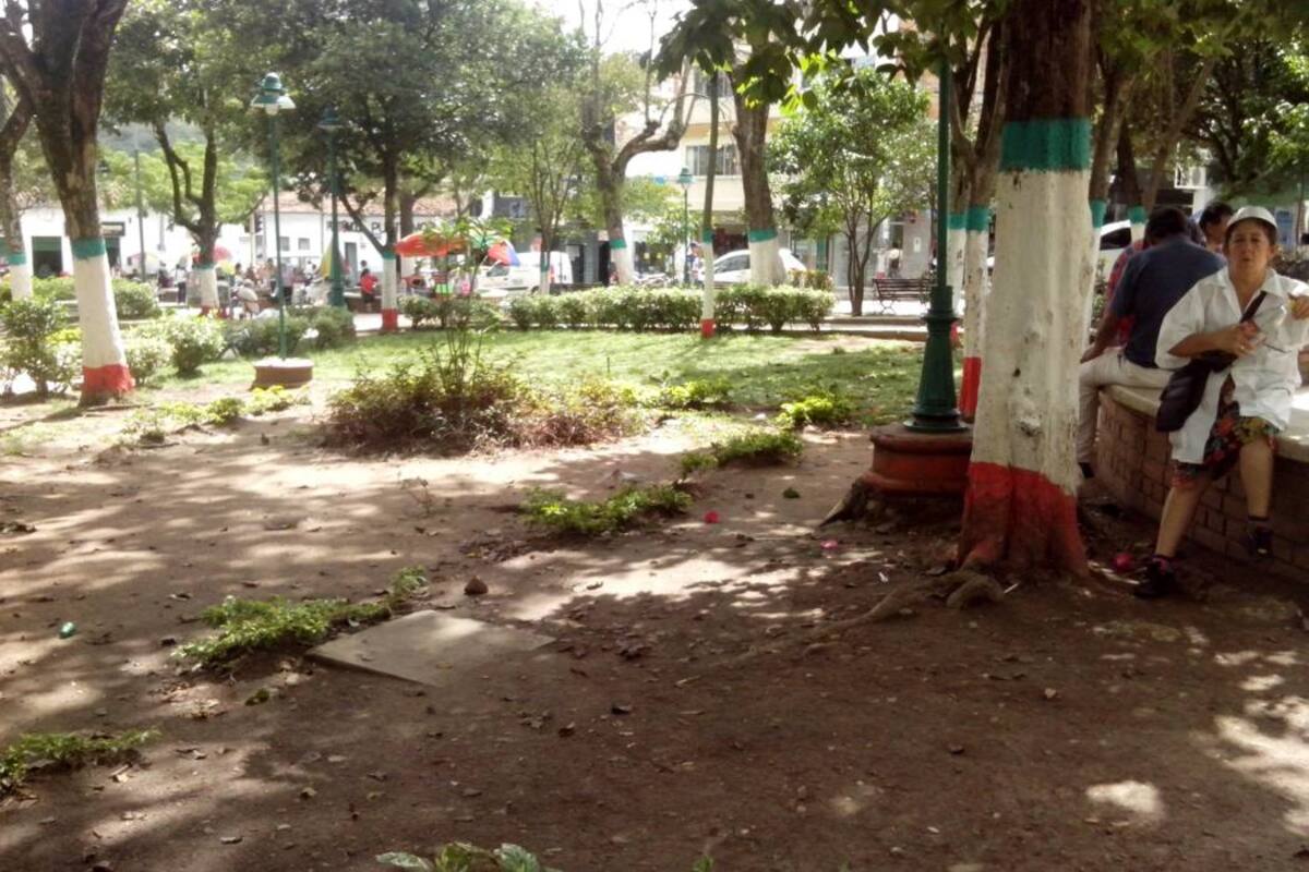 El Municipio, mediante la Secretaría de Infraestructura y la coperativa Conjatecolm implementará el embellecimiento del parque principal La Libertad mediante diseños modernos de jardinería. (Foto: Édgar Omar Bustos A./ VANGUARDIA LIBERAL )