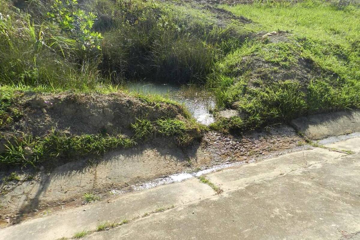 Este nacimiento de agua se dio en el sector conocido como Guayabal, y ha creado expectativa y curiosidad entre los habitantes de la zona por los beneficios que pueda traer para los campesinos. (Foto: Óscar Carrascal Torrado/VANGUARDIA LIBERAL)