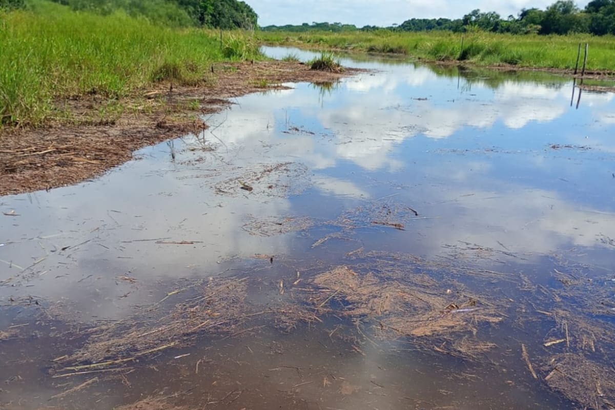 Integrantes de Fedepesan realizaron un monitoreo comunitario en la ciénaga Los Mangos, en la vereda Cuatro Bocas, donde denunciaron presunta contaminación por hidrocarburos.
Suministrada/Vanguardia