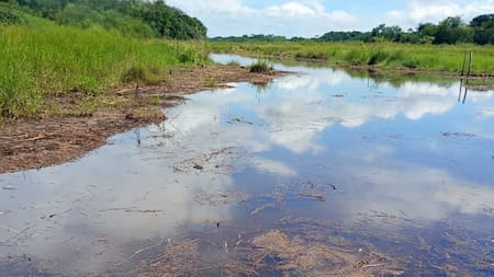 Pescadores alertan sobre presunto derrame de hidrocarburos en la ciénaga Los Mangos