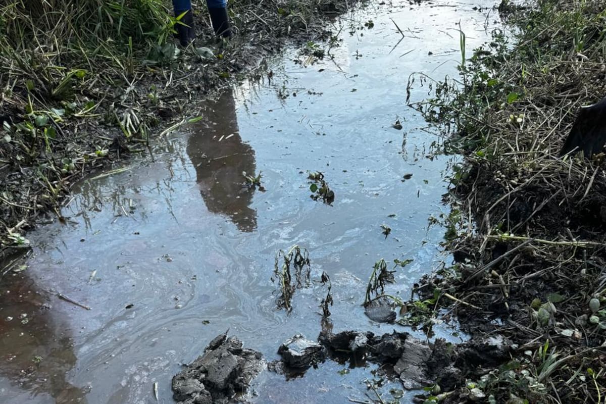 Pescadores denunciaron la presencia de hidrocarburos en un sector de la ciénaga El Llanito de Barrancabermeja
