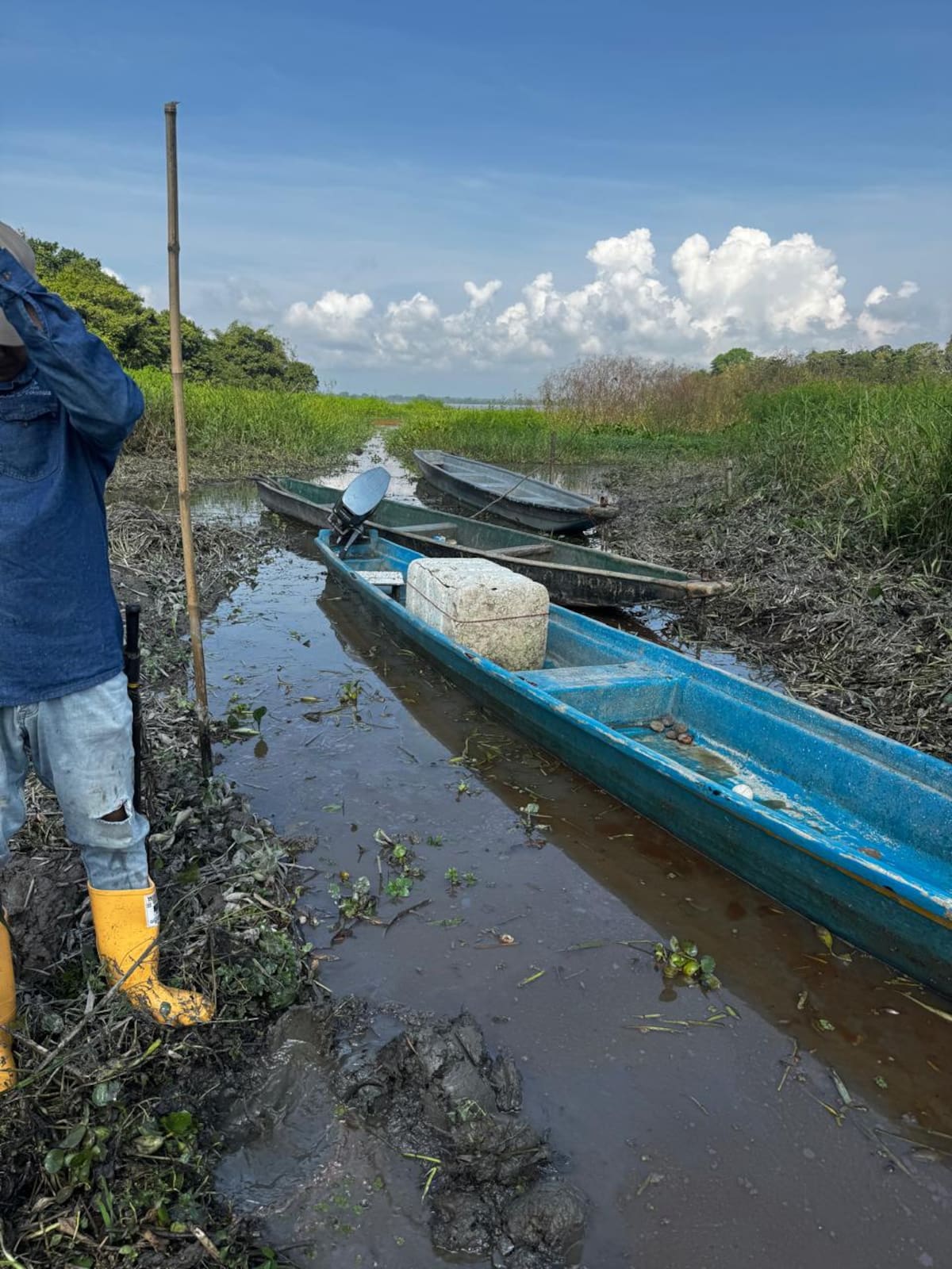 Pescadores denunciaron la presencia de hidrocarburos en un sector de la ciénaga El Llanito de Barrancabermeja