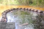 Secretaría de Ambiente impone medida preventiva tras contaminación por hidrocarburos en el área rural de Barrancabermeja