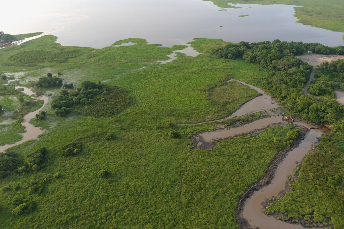 Según la comunidad pesquera, las lluvias habrían arrastrado sedimentos con presunta presencia de crudo hacia la ciénaga El Llanito.
Suministrada/Vanguardia