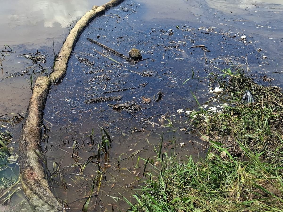 Según denuncias de la comunidad pesquera sedimentos con crudo habrían sido arrasados por las lluvias hasta la ciénaga El Llanito.
Suministrada/Vanguardia