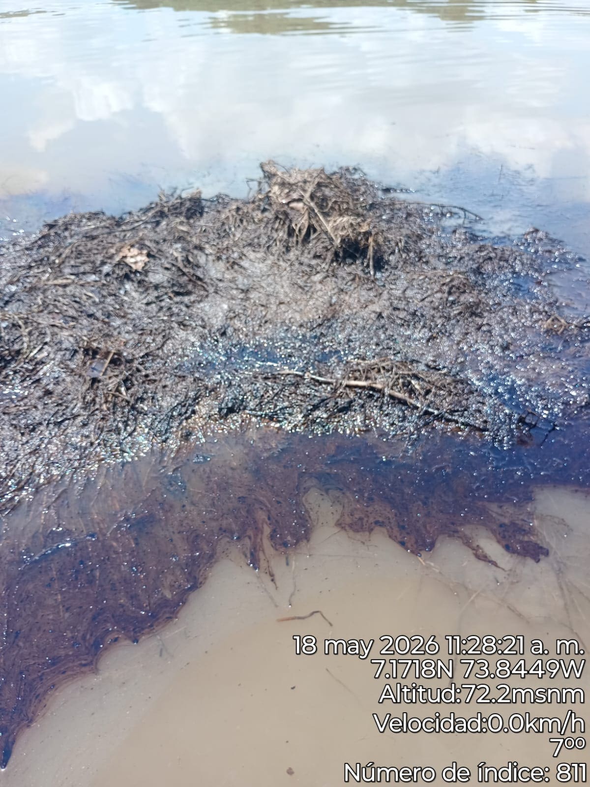 Pescadores y autoridades ambientales realizaron recorridos en la ciénaga El Llanito tras la presencia de hidrocarburos e iridiscencias en el cuerpo de agua.
Suministrada/Vanguardia