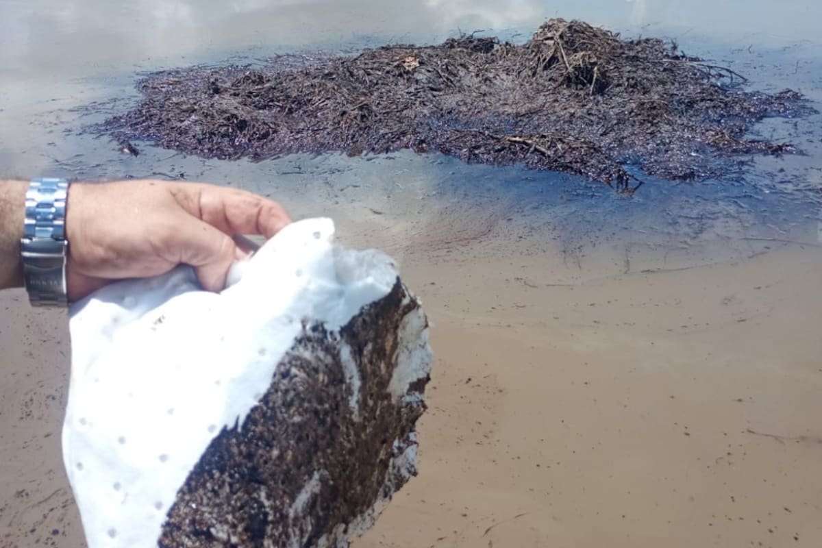 Pescadores y autoridades ambientales realizaron recorridos en la ciénaga El Llanito tras la presencia de hidrocarburos e iridiscencias en el cuerpo de agua.
Suministrada/Vanguardia