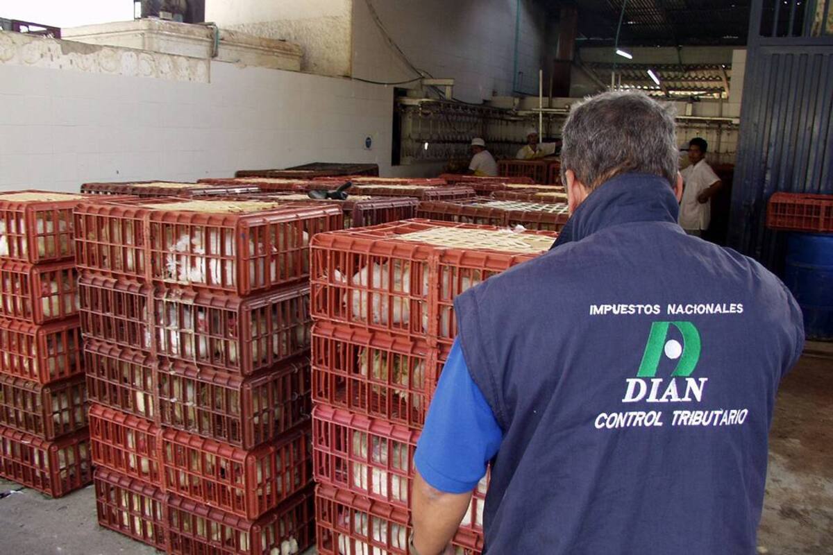 En la zona de Cúcuta, una planta de beneficio de pollos se vio obligada a cerrar sus puertas debido al creciente contrabando de esa carne proveniente de Venezuela. (Foto: Archivo/VANGUARDIA LIBERAL)