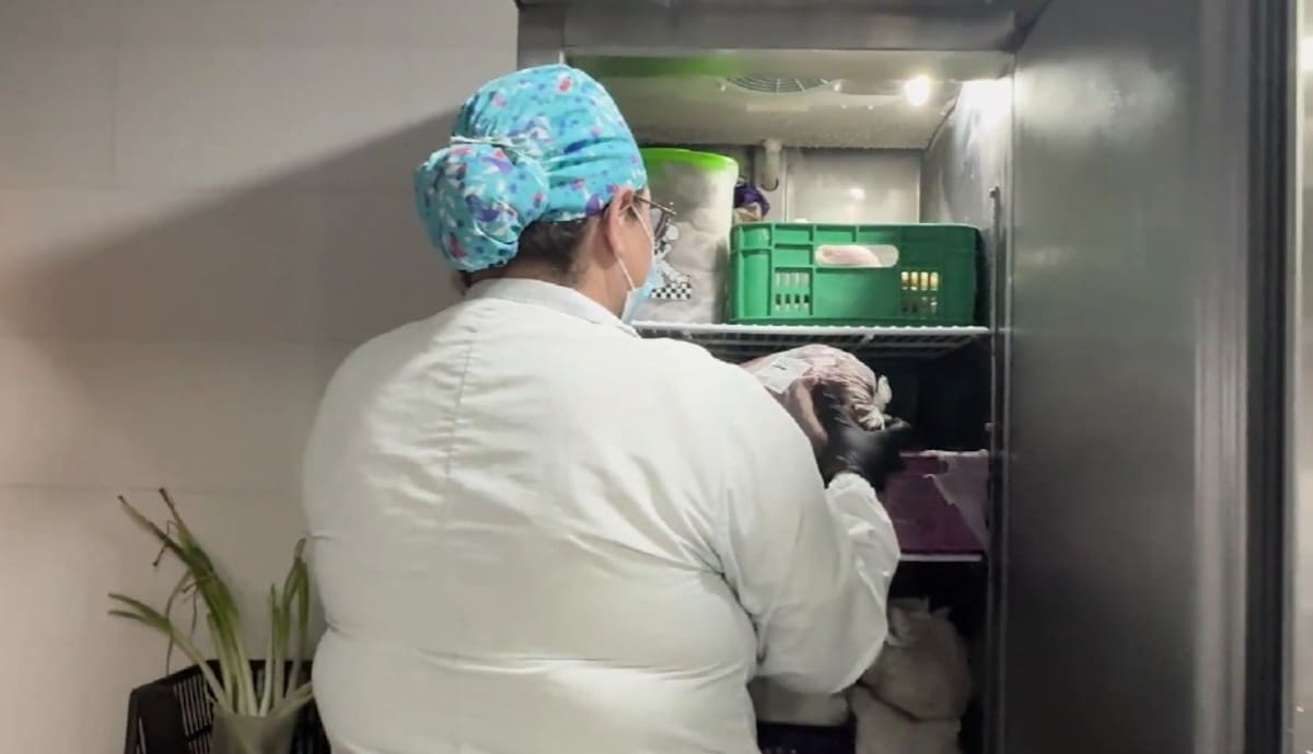 urante las inspecciones, las autoridades sanitarias verifican las condiciones de manipulación, preparación y almacenamiento de los alimentos, así como el estado de equipos, utensilios e infraestructura de los restaurantes.
Suministrada/Vanguardia