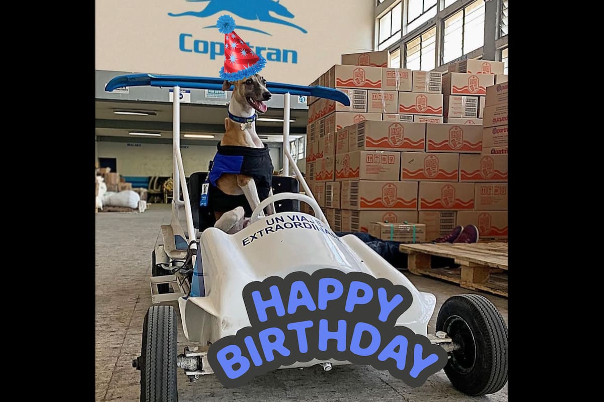 ‘Cope’, la mascota oficial de Copetran, cumple 7 años de vida y de fidelidad a la empresa santandereana.