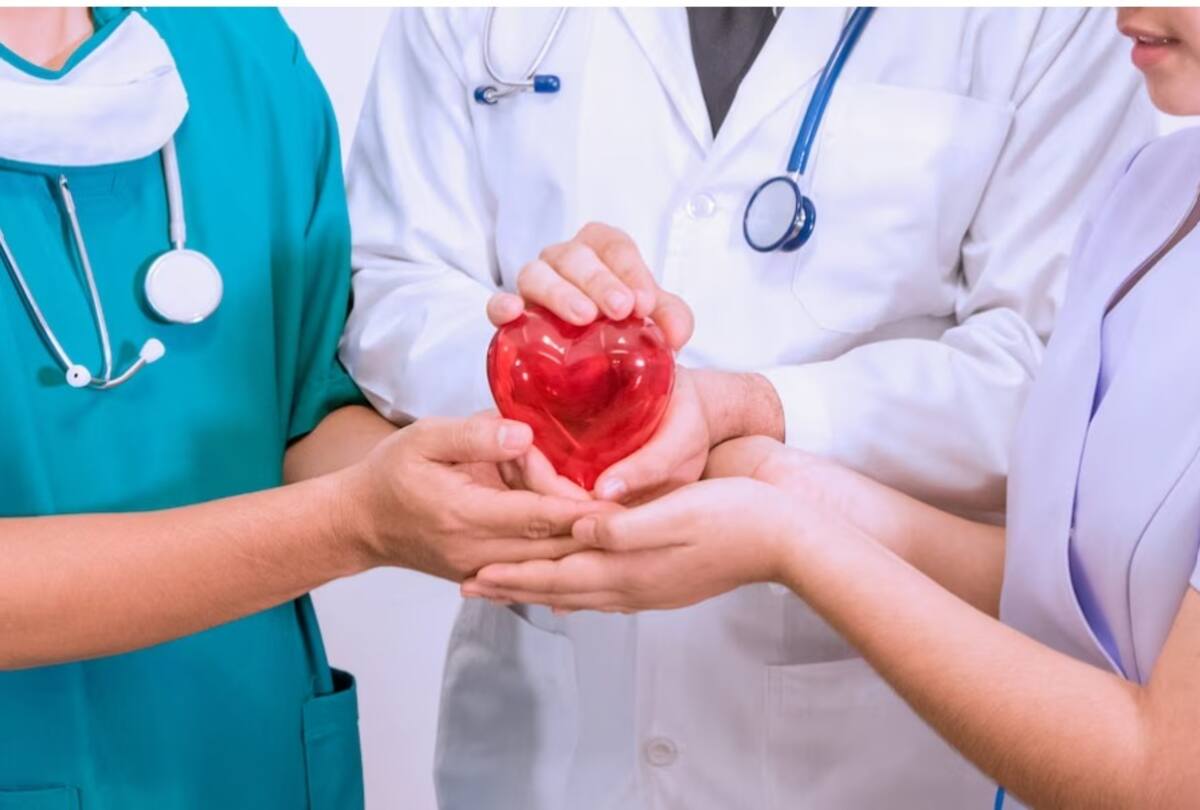 El corazón humano es una maravilla de la ingeniería biológica. ¿Sabía que late unas 100.000 veces al día? Freepik / VANGUARDIA