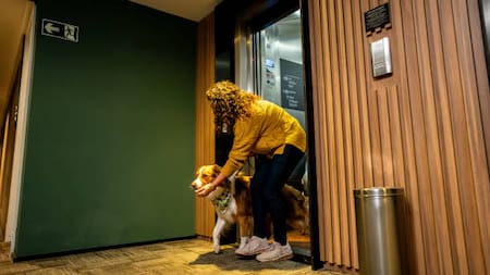 Las dudas que muchos dueños de mascotas no se atreven a dejar pasar