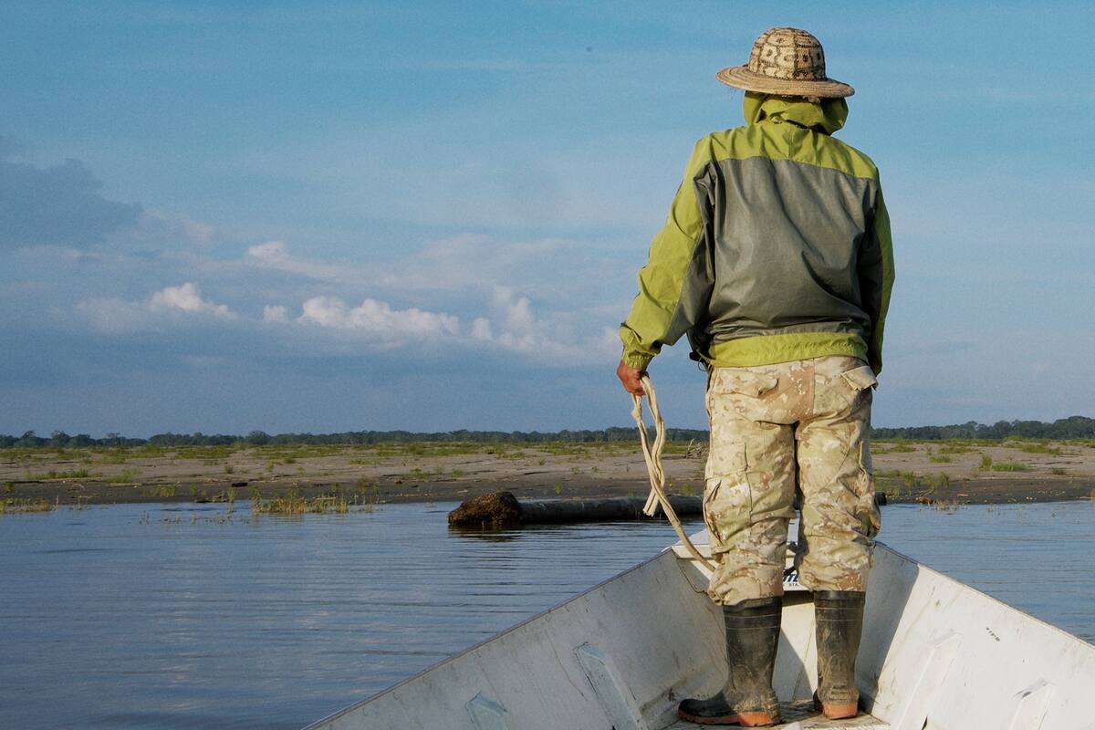La Asociación Curuín Sihuasi ha rescatado y liberado miles de tortugas amazónicas, preservando especies como las charapas y los tracajás. / Julián Carreño