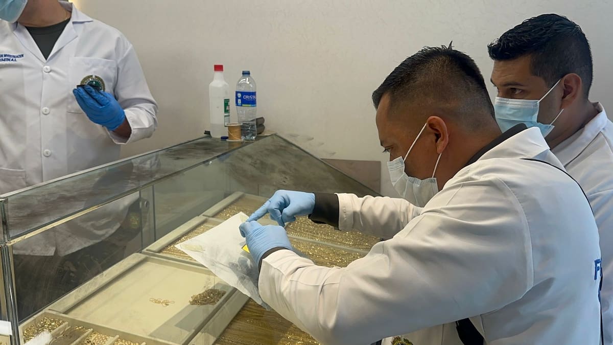 Dos de estos seis ladrones vestían con uniformes de la Policía Nacional, otro con prendas de una reconocida empresa de envíos y los tres restantes con ropa de civil.
Foto: suministradas a Vanguardia.