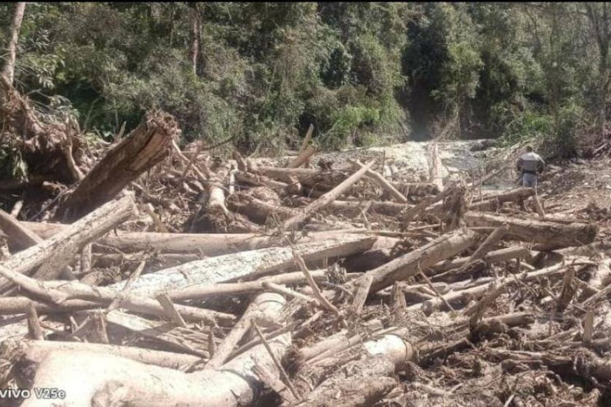 La fuerza del río Ture en zona rural del corregimiento de Cincelada, Coromoro, acabó con las truchas y las unidades productivas (Fotos suministradas / VANGUARDIA)