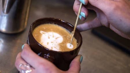 Más de 20 cafeterías en Bucaramanga se unen en solidaridad por los damnificados del sismo