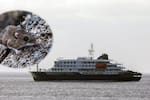 “La situación puede cambiar”: OMS advierte tras aumento de casos de hantavirus en crucero