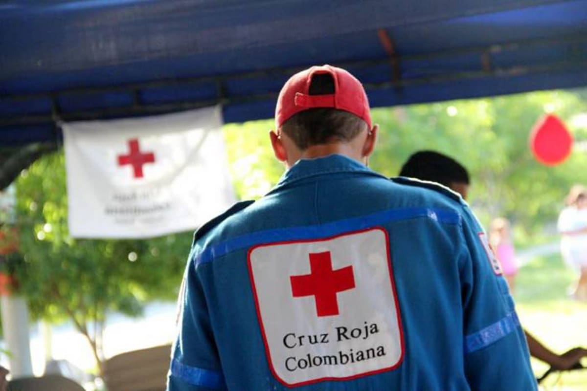 La seccional mantiene seis puntos de recolección en Bucaramanga y su área metropolitana, desde donde ha despachado cerca de 15 toneladas de ayudas hacia las zonas afectadas por el terremoto. Foto: cortesía Cruz Roja Seccional Santander.