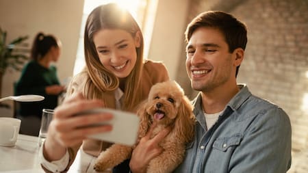¿Cuánto cuesta mantener una mascota al año? Estudio revela la cifra