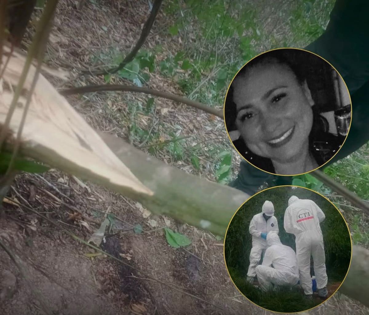 Confirman hallazgo del cuerpo de Yulixa Toloza en Apulo: detalles del caso que conmovió Colombia.