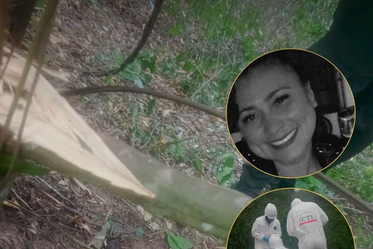 Confirman hallazgo del cuerpo de Yulixa Toloza en Apulo: detalles del caso que conmovió Colombia.