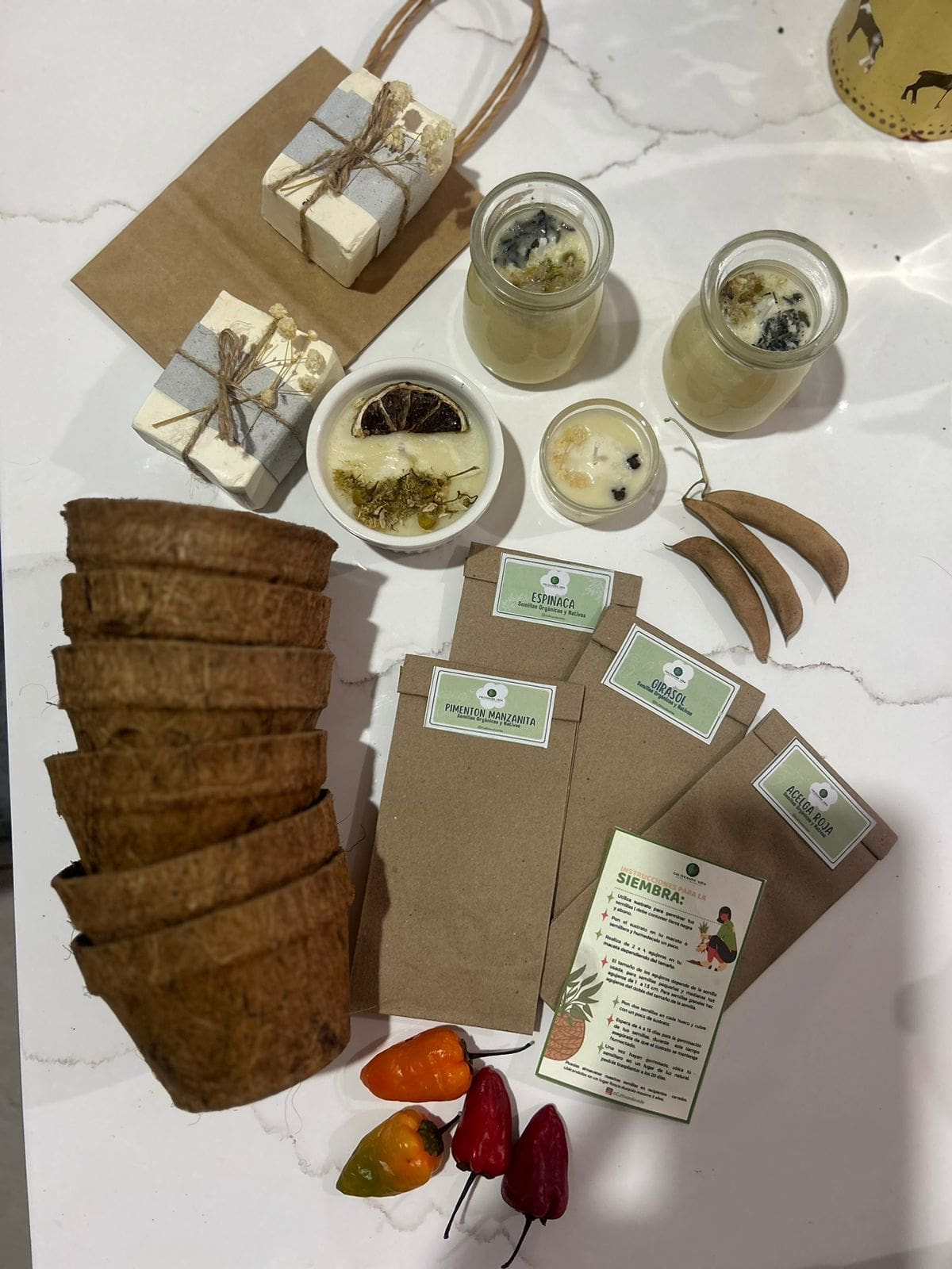 Suministrada/Vanguardia