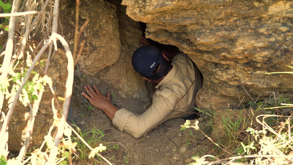La riqueza inexplorada de la cultura Guane en Los Santos. Juan Ortega - Marco Valencia - Nelson Ramírez/Vanguardia