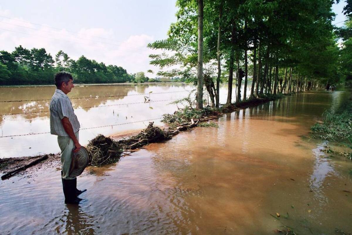 La redención de la parte de baja de Sabana de Torres, una de las regiones más fértiles de Santander, sería la construcción de un distrito de riego, pues contaría con diques de contención que controlarían el río Lebrija, el autor de las inundaciones en esa región. (Foto: Archivo/VANGUARDIA LIBERAL)