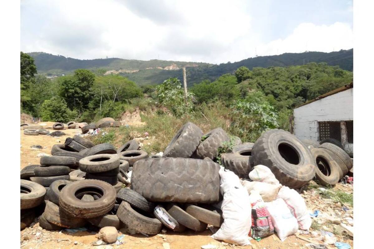 Evitar la acumulación de llantas, es una de las recomendaciones de las autoridades para que no se formen criaderos del mosquito transmisor del dengue. (Foto: Archivo/VANGUARDIA LIBERAL)