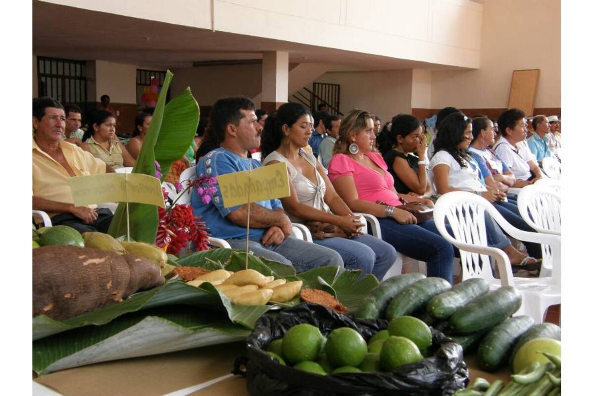 Las inscripciones se llevarán a cabo hasta el próximo 15 de junio, de diez de la mañana a seis de la tarde, en la Biblioteca Virtual Monseñor Isaías Duarte Cancino. (Foto: Archivo/VANGUARDIA LIBERAL)